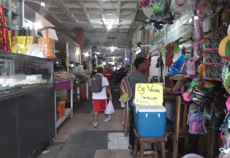El registro para el Padrón Municipal de Emprendedores se lleva a cabo en la Regiduría de Desarrollo Económico de Tehuantepec.