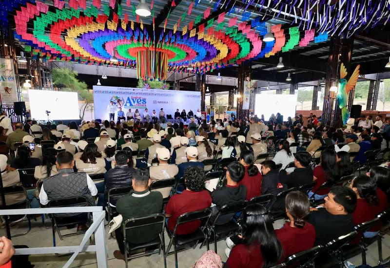 Una colorida ave endémica de Oaxaca posada en una rama, representando la rica biodiversidad celebrada en el tercer Festival de las Aves.