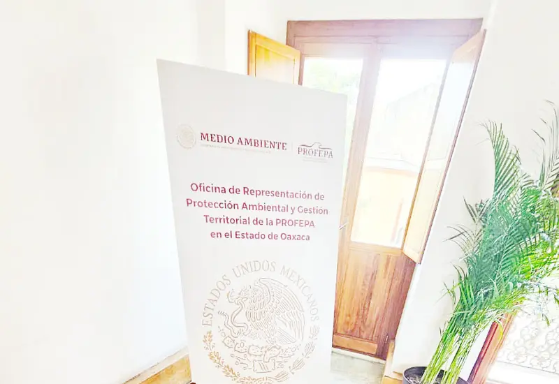 La dependencia dijo que realizará el procedimiento administrativo respectivo y determinará las sanciones aplicables conforme a la normatividad ambiental vigente.