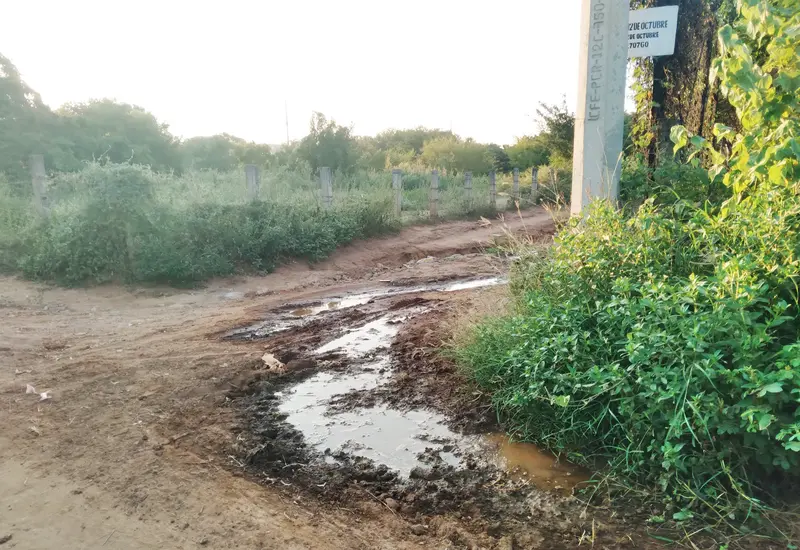 Vecinos señalaron que la red de distribución se encuentra dañada.