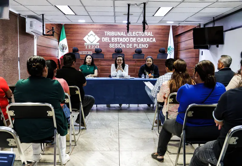 El TEEO declaró fundados los agravios en ambas demarcaciones. Foto: TEEO