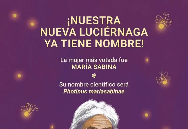 Photinus Mariasabinae simboliza la unión entre la ciencia y la sabiduría tradicional.