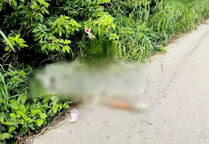 Los cuerpos de un hombre y una mujer asesinados, abandonados a la orilla de la carretera en el Istmo de Tehuantepec.