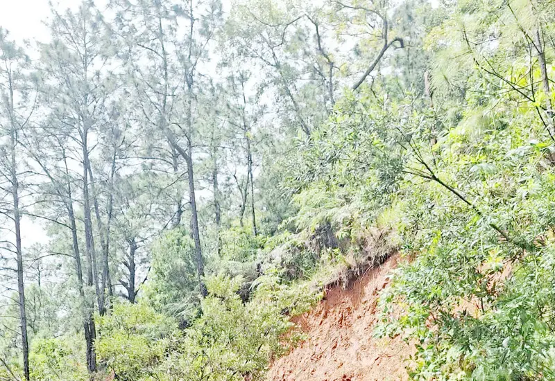 Una ladera en la región mixe muestra el peligro de deslaves, una amenaza constante que pone en riesgo a los pobladores de quedar incomunicados.