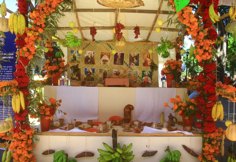 Un tradicional altar de Día de Muertos con sus ofrendas, colocado para guiar y recibir a las almas de los difuntos en la celebración.