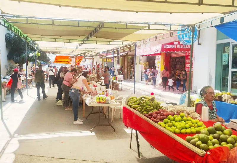Comerciantes en Ixtepec ofrecen productos de temporada para el Día de Muertos, impulsando la economía local con sus ventas.