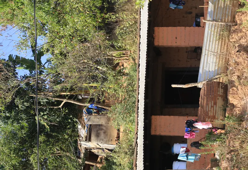  Pueblos indígenas habitan en los territorios de mayor pobreza. 