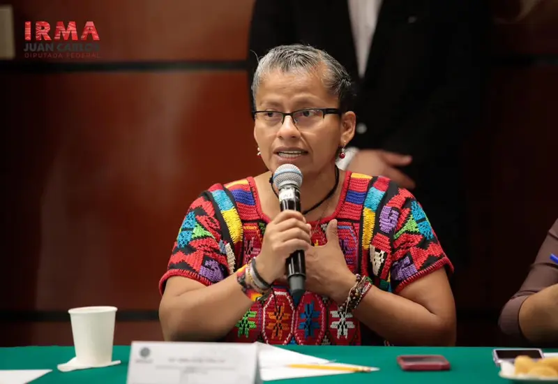 La diputada Irma Juan Carlos destacó que la reforma responde a la Estrategia Nacional de Seguridad Pública.