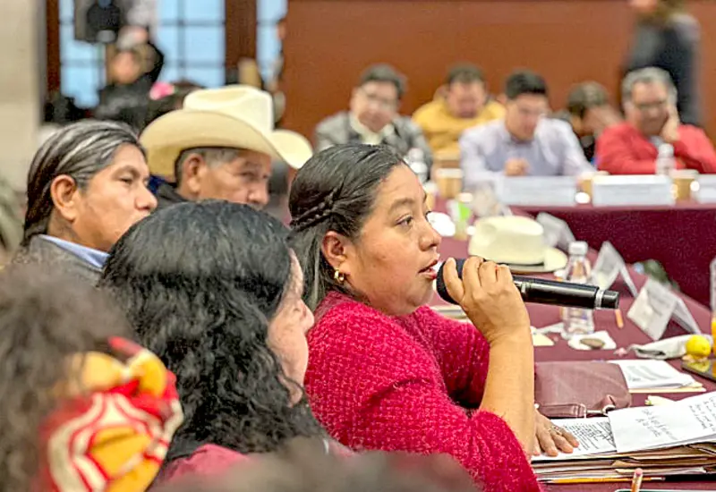 Catalina Ramírez cuenta con amplia trayectoria en la defensa de los derechos humanos de los pueblos indígenas.