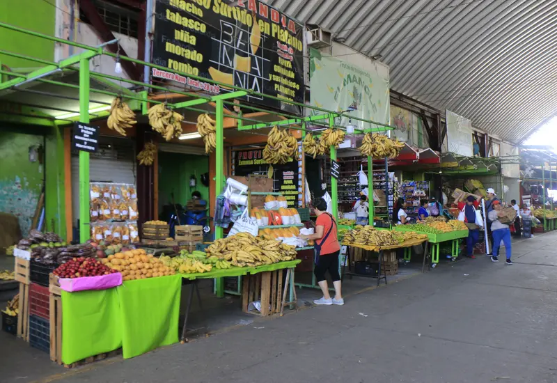 Las frutas y verduras contribuyen a la moderación de la inflación (-8.04%).