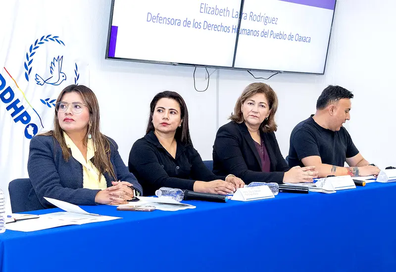 Los lineamientos atienden a los criterios de legalidad, necesidad, proporcionalidad y rendición de cuentas.