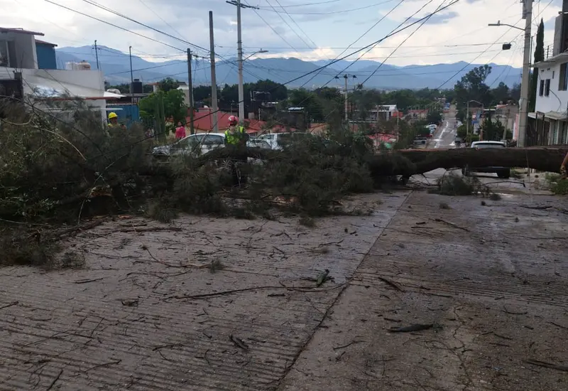 lluvias_intensas_oaxaca