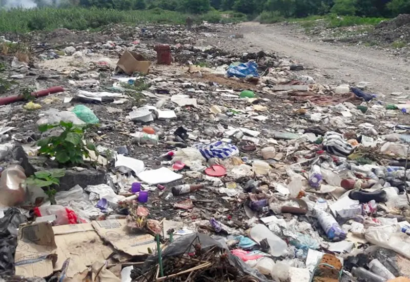 Los desechos dañan la flora y fauna de los ríos.