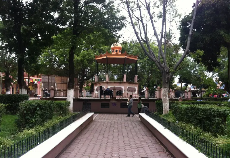 arboles_cuidados