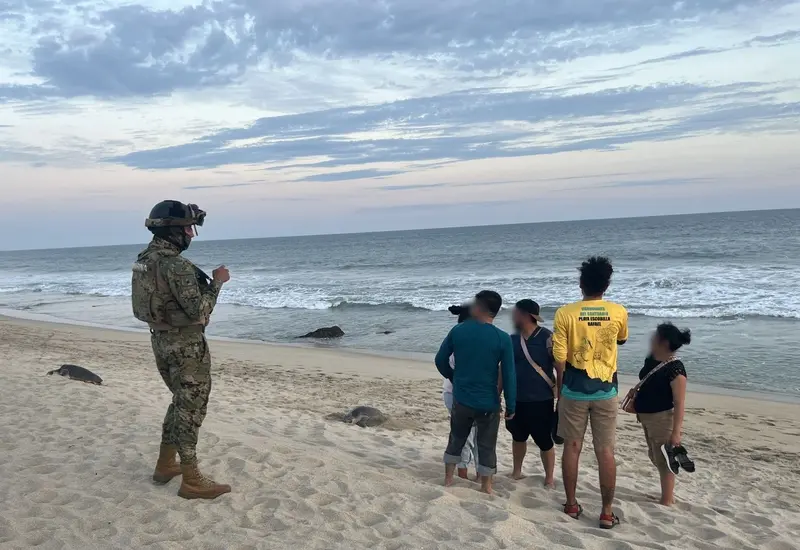 Semar y Profepa aseguran miles de huevos de tortuga en la Costa de Oaxaca.