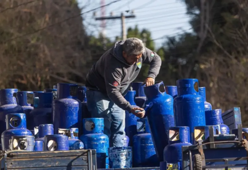 Se les acusa de colusión para fijar precios y repartirse el mercado.