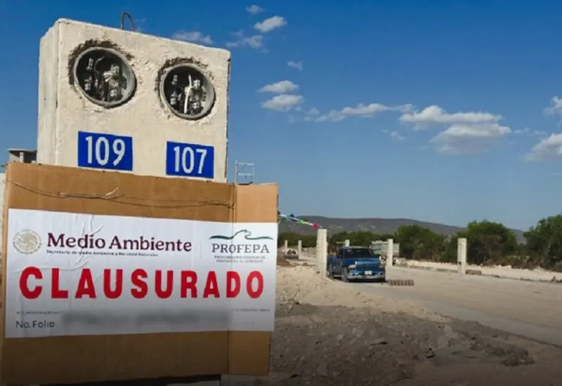 ¡Alerta ambiental! Profepa frena obras ilegales que destruían 45 hectáreas en Tehuacán.