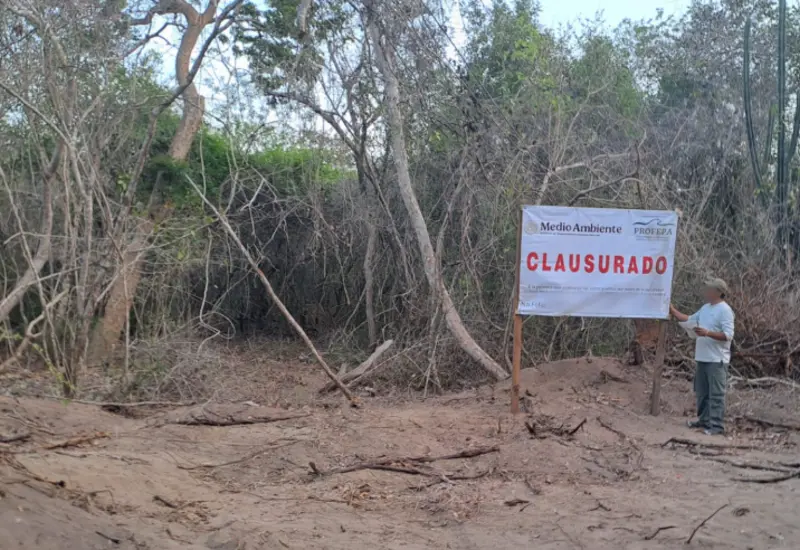 Clausuran 3 predios en Huatulco por devastación de selva sin permisos