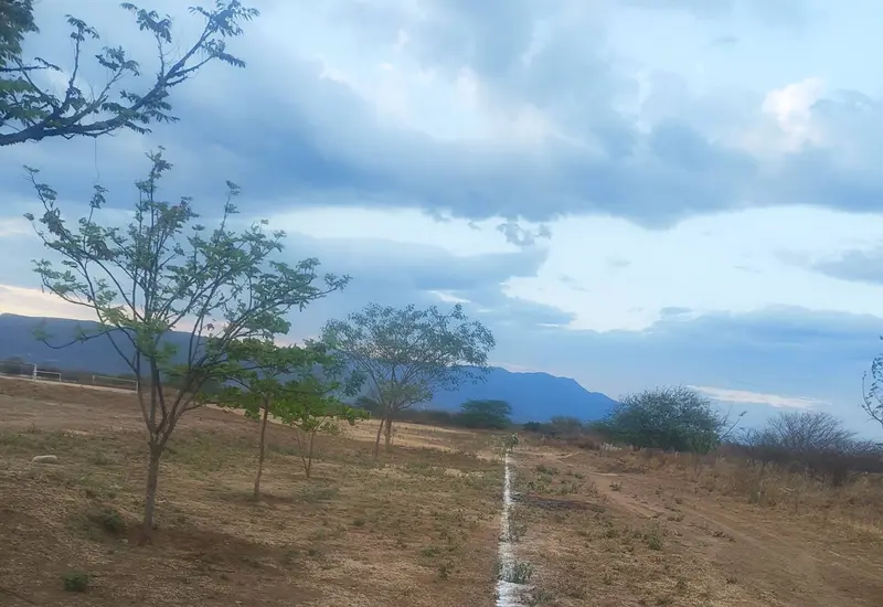 Habitantes de la colonia Los Tamarindos delimitan una de sus calles para evitar confrontaciones, mientras solicitan la intervención del Municipio.