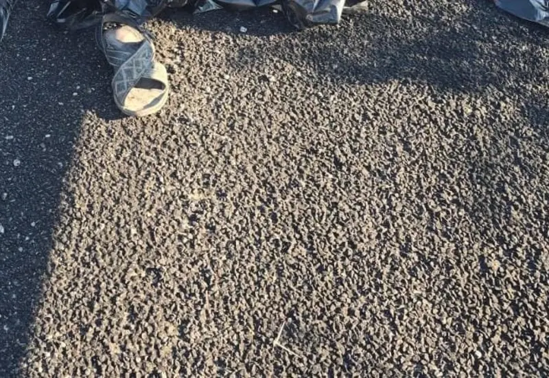 Los restos de un hombre fueron hallados en la carretera de cuota a la costa, en Barranca Larga, Ejutla de Crespo.