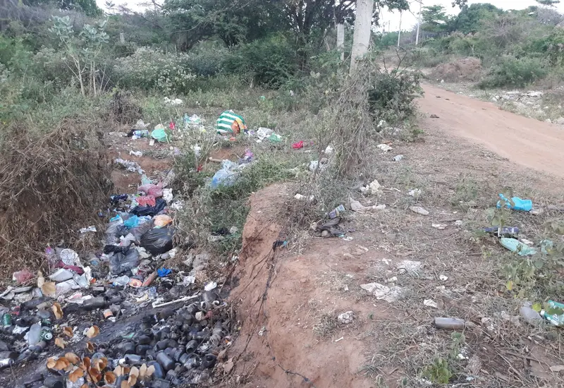 Montones de basura y desechos se acumulan en la orilla de un arroyo en Tehuantepec, evidenciando la falta del servicio de recolección.