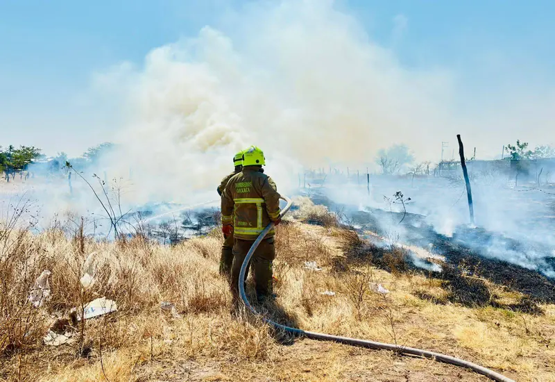 El fuego consume la vegetación seca durante uno de los incendios de pastizales que persisten en Juchitán, siniestro que no reportó lesionados.