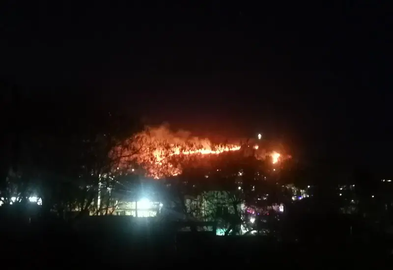 Un incendio forestal activo en el Cerro del Crestón, generando una columna de humo visible que alerta sobre los graves riesgos ambientales.