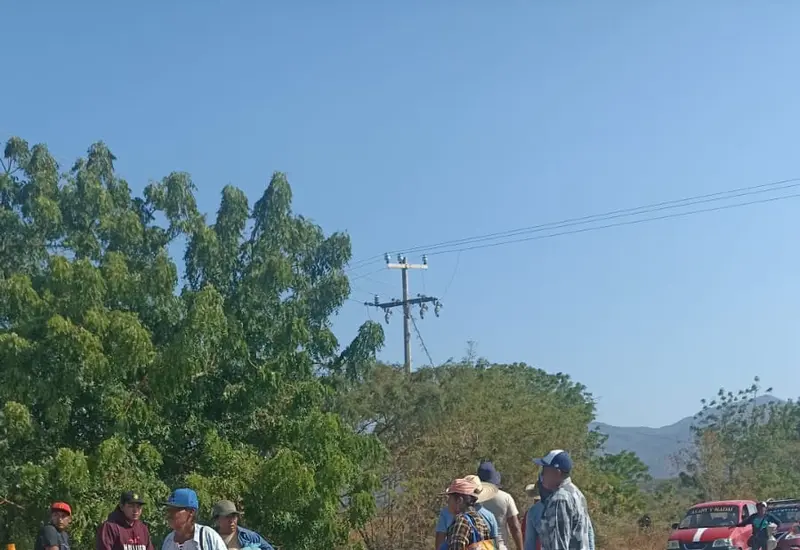 Productores de ajonjolí realizan la venta directa de su cosecha a pie de carretera, ofreciendo una promoción de tres kilos por 100 pesos.