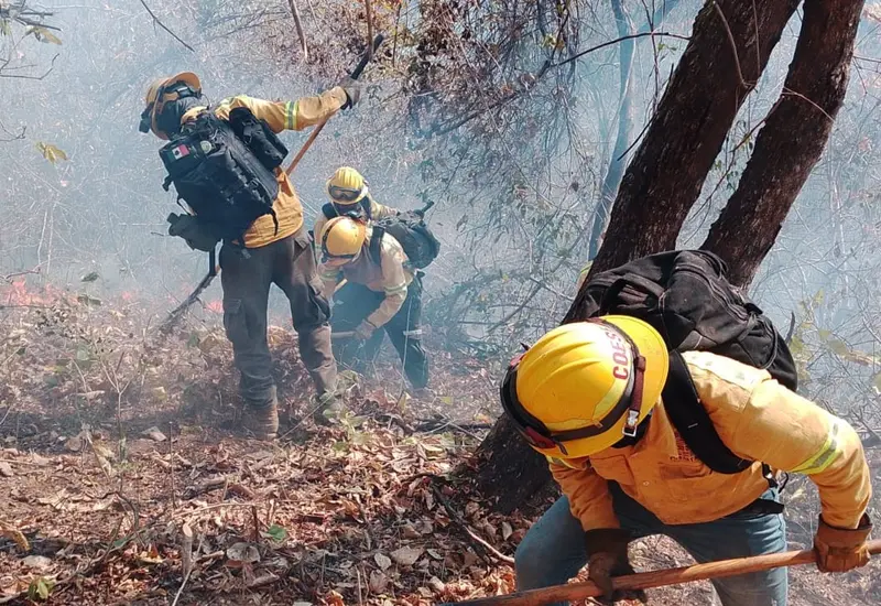 Emergencia ambiental: incendios activos en Chimalapa y Sola de Vega.