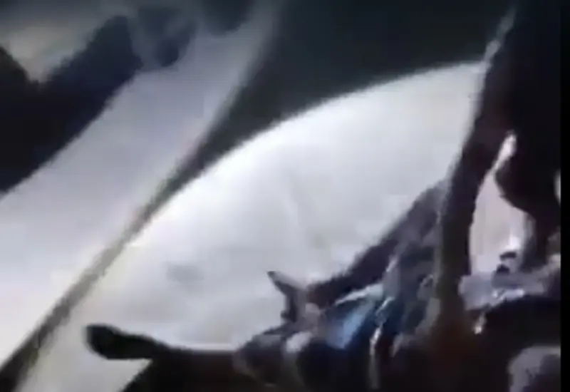 Parricidio tras brutal riña con machete y cuchillo.