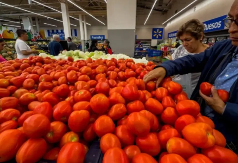 Una selección de frutas y verduras frescas en un mercado, representando la baja de precios en la canasta básica que beneficia a las familias.