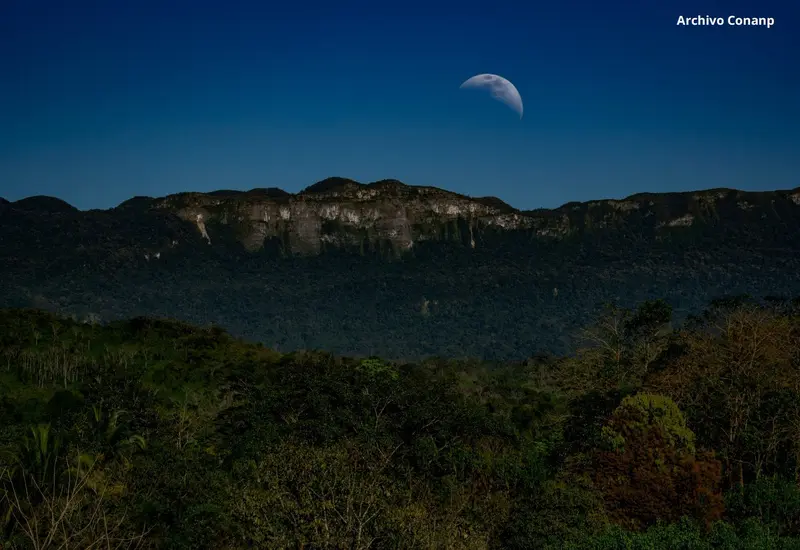 Paisaje de la selva de los Chimalapas, cuyo futuro como área de conservación está en manos de sus comunidades con el respaldo de la Conanp.