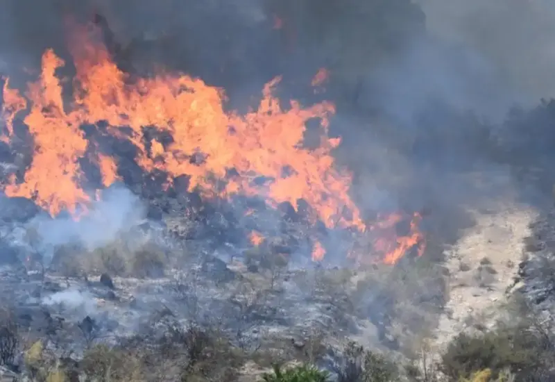 Un devastador incendio forestal en Almería, España, donde las llamas arrasan con varios pueblos y fuerzan la evacuación de cientos de personas.
