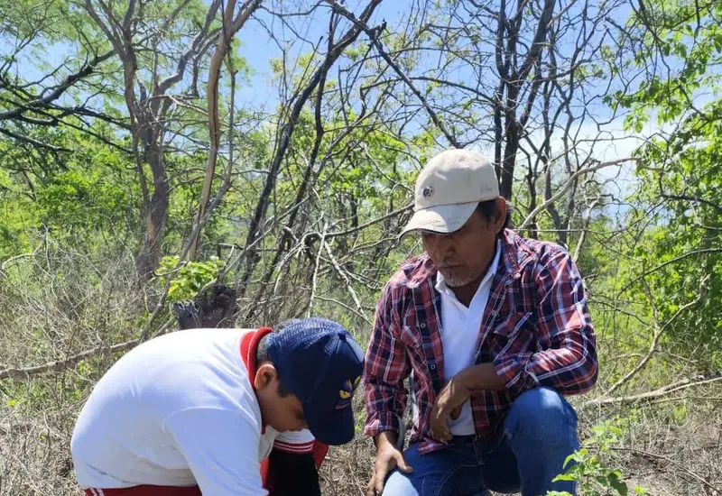 Ciudadanos y autoridades de Mixtequilla participan en la siembra de árboles durante la jornada ambiental denominada 'Yo Siembro Mi Futuro'.