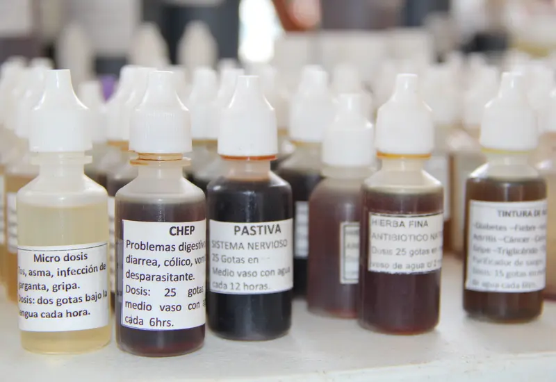 Mujeres indígenas de Oaxaca trabajan con plantas curativas para preservar y mantener viva la tradición de la medicina ancestral en sus comunidades.