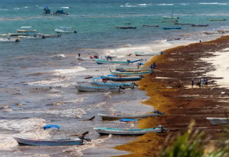 Proyecto del Polo de Economía Circular en Puerto Morelos que busca transformar sargazo, plásticos y residuos de construcción en nuevos productos.