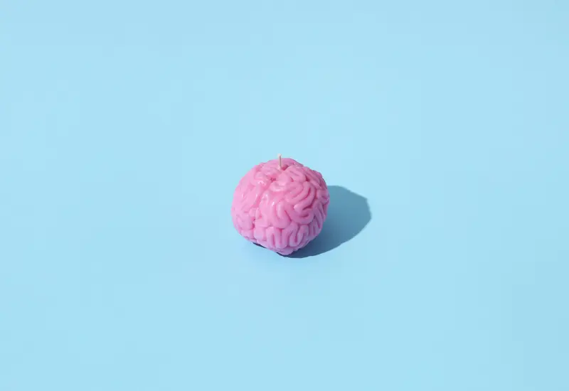 Ilustración de un cerebro humano para el Día Mundial del Cerebro, que representa los efectos de los videos cortos en la atención y memoria.