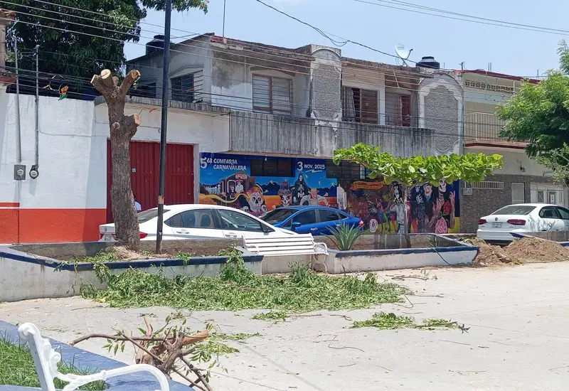 Pobladores de un barrio en Tehuantepec observan y cuestionan el retiro total de un árbol, acción que ha provocado indignación en la comunidad.
