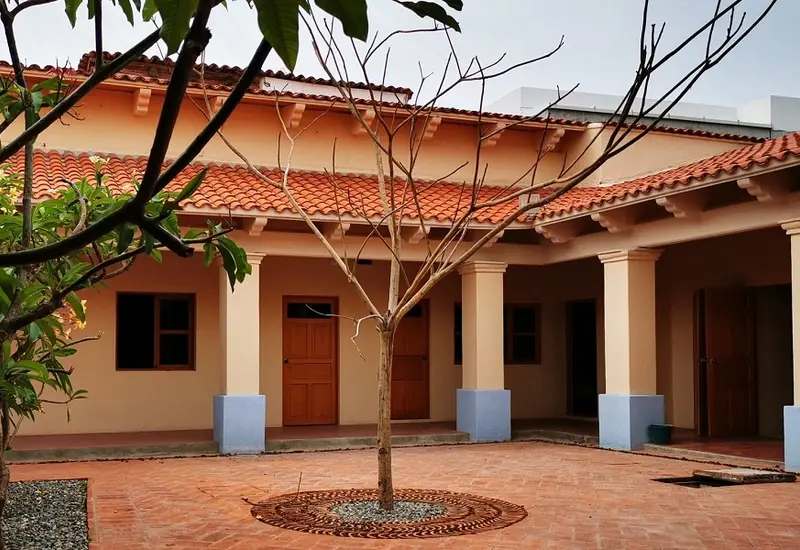 Taller sobre las plantas sagradas y la cosmovisión Binigula’sa, una actividad organizada para la preservación de los conocimientos y saberes tradicionales.