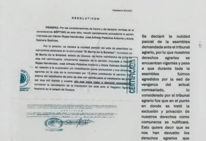 Miembros del Comisariado de bienes comunales de El Barrio de la Soledad, quienes impugnaron la resolución de sanciones ante un Tribunal Colegiado.