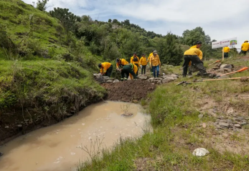 Activistas y defensores del territorio advierten sobre los crecientes riesgos de violencia que enfrentan los ambientalistas y sus familiares en México.