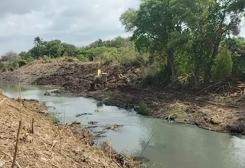 Las labores se concentran en la zona de Santa María Xadani. 