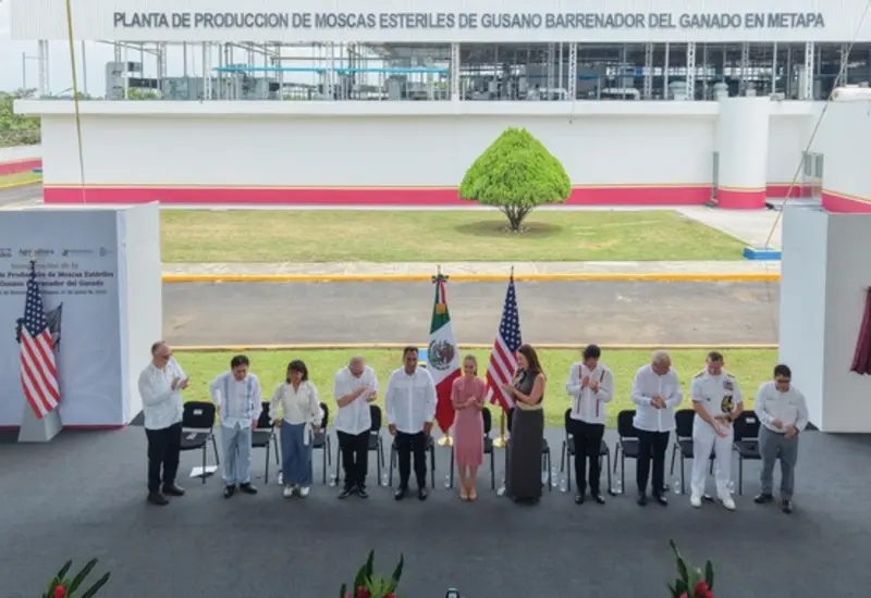 Claudia Sheinbaum durante la inauguración de la planta en Chiapas para combatir al gusano barrenador mediante la producción de moscas estériles.