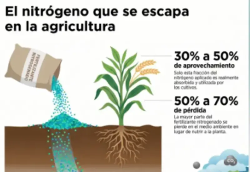 La tecnología busca reducir pérdidas de nitrógeno en los cultivos.