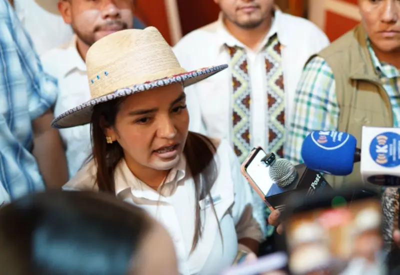 Presentó a la Corte un escrito favorable a candidaturas independientes.