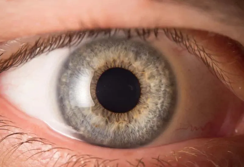 Una ilustración científica que muestra cómo la actividad pupilar del ojo humano refleja las distintas fases del procesamiento y consolidación de la memoria.