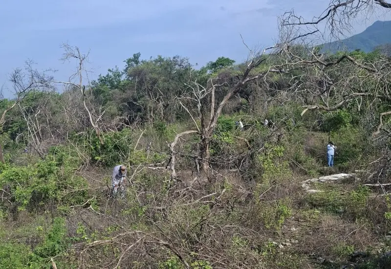Comuneros de Santa María Mixtequilla impulsan un plan de reforestación, anunciando una jornada que se realizará el próximo 2 de julio en la comunidad.