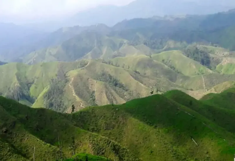 Comuneros denuncian maniobras para arrebatar tierras en la selva de Los Chimalapas y exigen la intervención del gobierno federal para detener el conflicto.