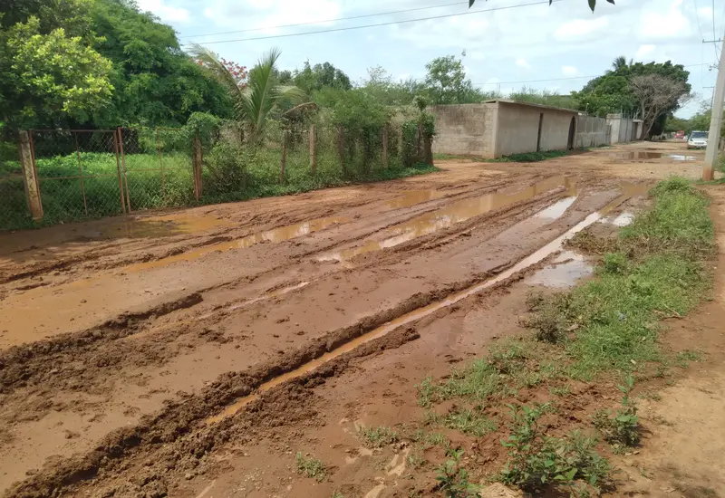 Acumulación de basura y agua estancada en una zona ribereña, creando un foco de infección y criadero ideal para la reproducción de mosquitos.