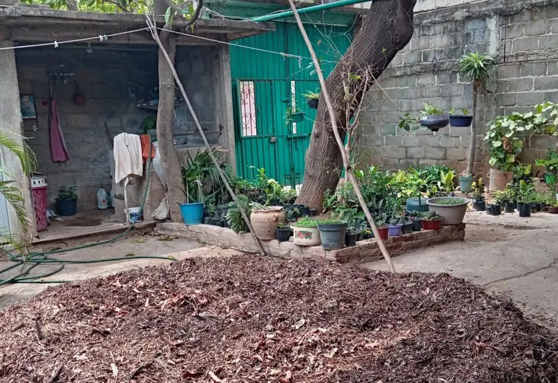 Montones de basura quemándose al aire libre, una práctica que ilustra la crisis ambiental por falta de políticas de reciclaje en el Istmo.